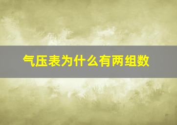 气压表为什么有两组数