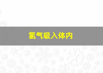 氢气吸入体内