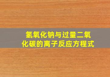 氢氧化钠与过量二氧化碳的离子反应方程式