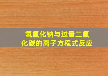 氢氧化钠与过量二氧化碳的离子方程式反应