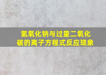 氢氧化钠与过量二氧化碳的离子方程式反应现象