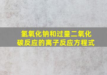 氢氧化钠和过量二氧化碳反应的离子反应方程式