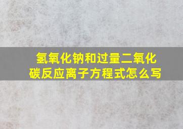 氢氧化钠和过量二氧化碳反应离子方程式怎么写