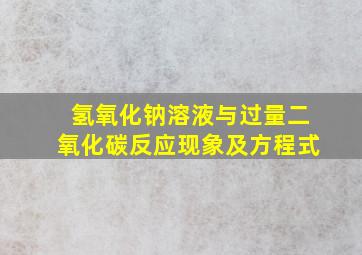 氢氧化钠溶液与过量二氧化碳反应现象及方程式