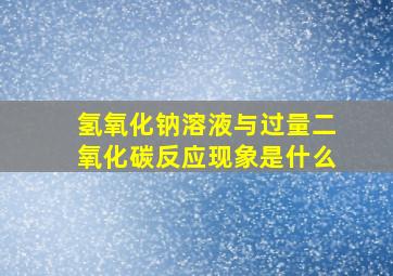 氢氧化钠溶液与过量二氧化碳反应现象是什么