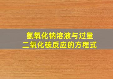 氢氧化钠溶液与过量二氧化碳反应的方程式