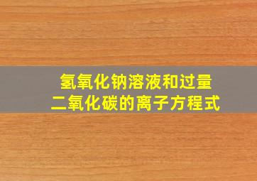 氢氧化钠溶液和过量二氧化碳的离子方程式