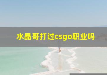 水晶哥打过csgo职业吗