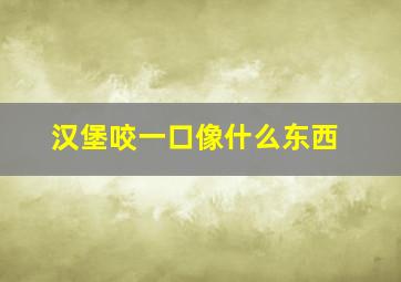 汉堡咬一口像什么东西