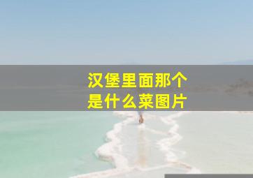 汉堡里面那个是什么菜图片