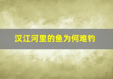 汉江河里的鱼为何难钓