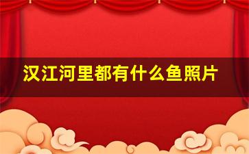 汉江河里都有什么鱼照片