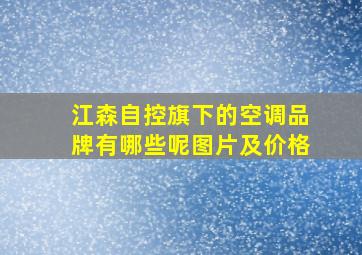 江森自控旗下的空调品牌有哪些呢图片及价格