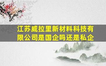 江苏威拉里新材料科技有限公司是国企吗还是私企