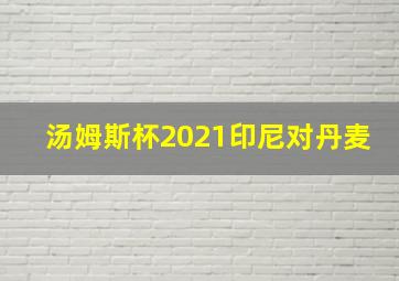 汤姆斯杯2021印尼对丹麦