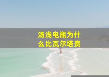 汤浅电瓶为什么比瓦尔塔贵