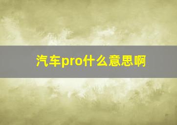 汽车pro什么意思啊