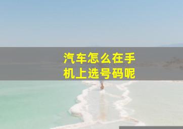 汽车怎么在手机上选号码呢