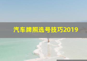 汽车牌照选号技巧2019