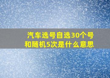 汽车选号自选30个号和随机5次是什么意思