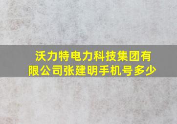 沃力特电力科技集团有限公司张建明手机号多少