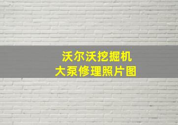 沃尔沃挖掘机大泵修理照片图