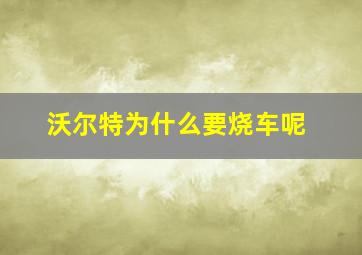 沃尔特为什么要烧车呢