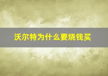 沃尔特为什么要烧钱买