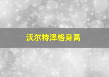 沃尔特泽格身高