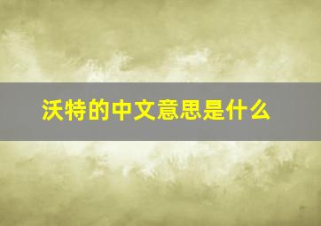 沃特的中文意思是什么