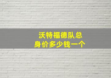 沃特福德队总身价多少钱一个