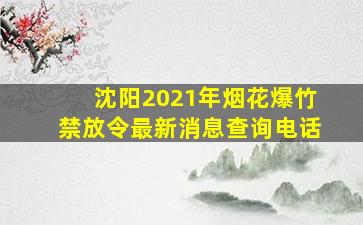 沈阳2021年烟花爆竹禁放令最新消息查询电话