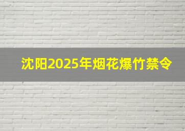 沈阳2025年烟花爆竹禁令