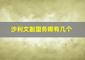 沙利文副国务卿有几个