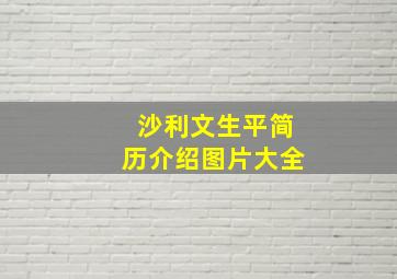 沙利文生平简历介绍图片大全