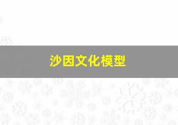 沙因文化模型