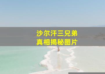 沙尔汗三兄弟真相揭秘图片