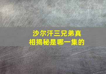 沙尔汗三兄弟真相揭秘是哪一集的