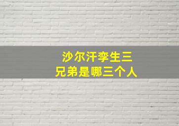 沙尔汗孪生三兄弟是哪三个人