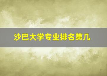 沙巴大学专业排名第几