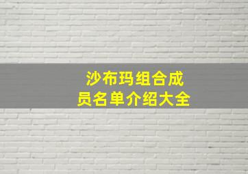 沙布玛组合成员名单介绍大全