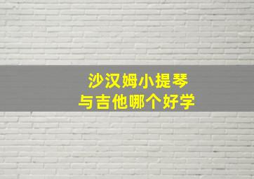 沙汉姆小提琴与吉他哪个好学