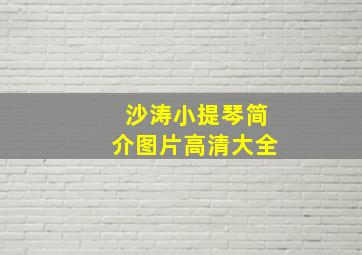 沙涛小提琴简介图片高清大全