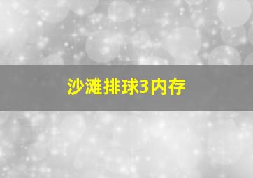 沙滩排球3内存