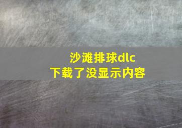 沙滩排球dlc下载了没显示内容