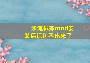 沙滩排球mod安装后识别不出来了