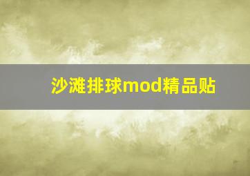 沙滩排球mod精品贴