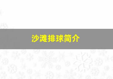 沙滩排球简介