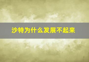 沙特为什么发展不起来