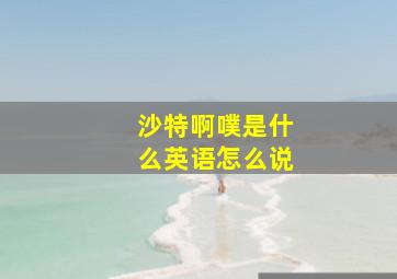 沙特啊噗是什么英语怎么说